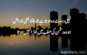 Sad Quotes About Life in Urdu