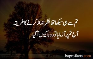 Sad Quotes About Life in Urdu