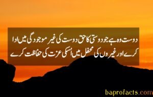 Friendship Quotes in Urdu