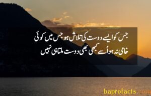 Friendship Quotes in Urdu