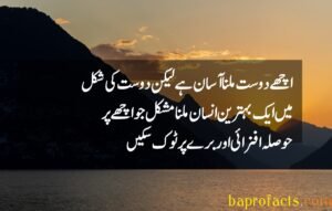 Friendship Quotes in Urdu