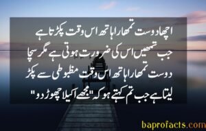 Friendship Quotes in Urdu