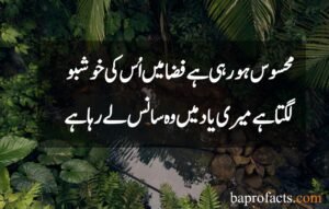 Sad Love Poetry in Urdu