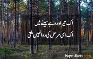 Sad Love Poetry in Urdu