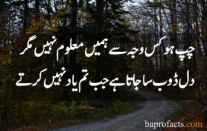 Sad Love Poetry in Urdu