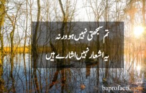 Sad Love Poetry in Urdu