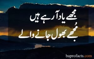 Sad Love Poetry in Urdu