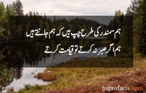 Sabar Quotes in Urdu