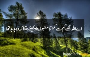 Sabar Quotes in Urdu