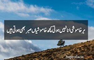 Sabar Quotes in Urdu