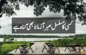 Sabar Quotes in Urdu