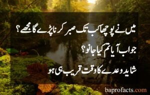 Sabar Quotes in Urdu