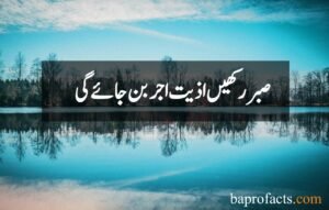 Sabar Quotes in Urdu