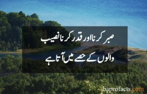 Sabar Quotes in Urdu