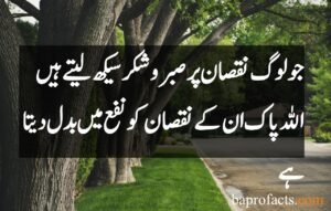 Sabar Quotes in Urdu