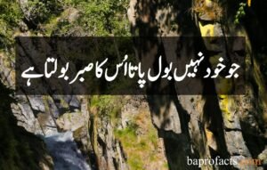 Sabar Quotes in Urdu