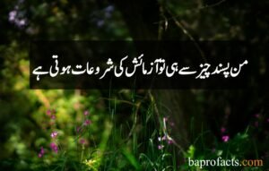 Sabar Quotes in Urdu