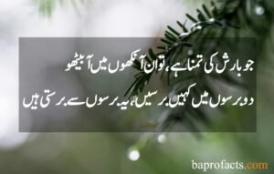 Best Rain Poetry in Urdu