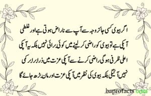 Husband Wife Quotes in Urdu