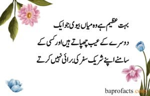 Husband Wife Quotes in Urdu