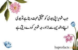 Husband Wife Quotes in Urdu