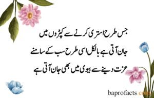 Husband Wife Quotes in Urdu