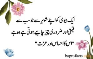 Husband Wife Quotes in Urdu