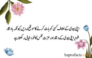 Husband Wife Quotes in Urdu