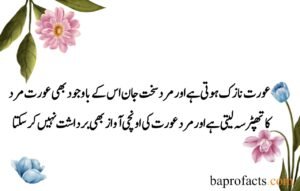 Husband Wife Quotes in Urdu