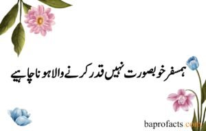 Husband Wife Quotes in Urdu