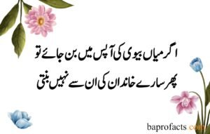 Husband Wife Quotes in Urdu