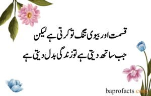 Husband Wife Quotes in Urdu