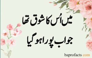 Sad Love Poetry in Urdu 