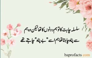 Sad Love Poetry in Urdu 