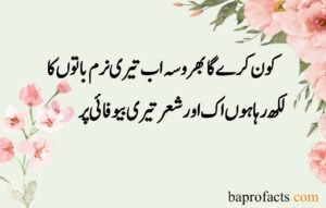 Sad Love Poetry in Urdu 