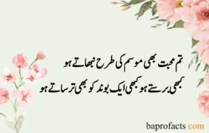 Sad Love Poetry in Urdu 