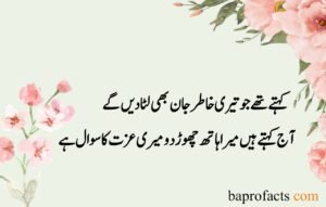 Sad Love Poetry in Urdu 