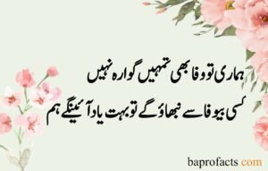 Sad Love Poetry in Urdu 