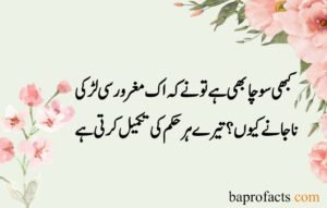 Sad Love Poetry in Urdu 