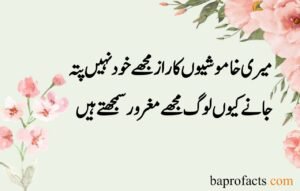 Sad Love Poetry in Urdu 