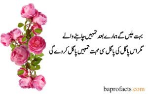 Deep Love Poetry in Urdu