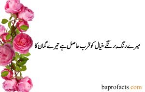 Deep Love Poetry in Urdu