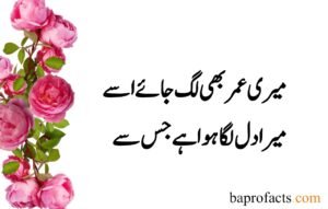 Deep Love Poetry in Urdu