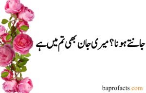 Deep Love Poetry in Urdu