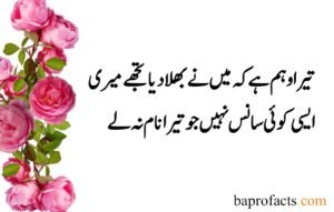 Deep Love Poetry in Urdu