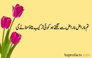 Love Poetry in Urdu 2 Lines