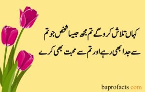 Love Poetry in Urdu 2 Lines