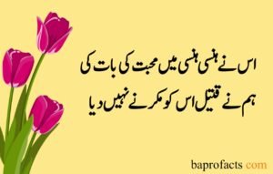 Love Poetry in Urdu 2 Lines