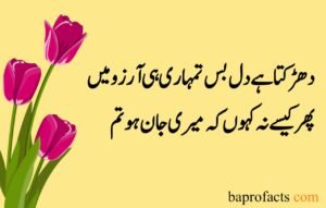 Love Poetry in Urdu 2 Lines