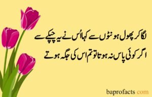 Love Poetry in Urdu 2 Lines